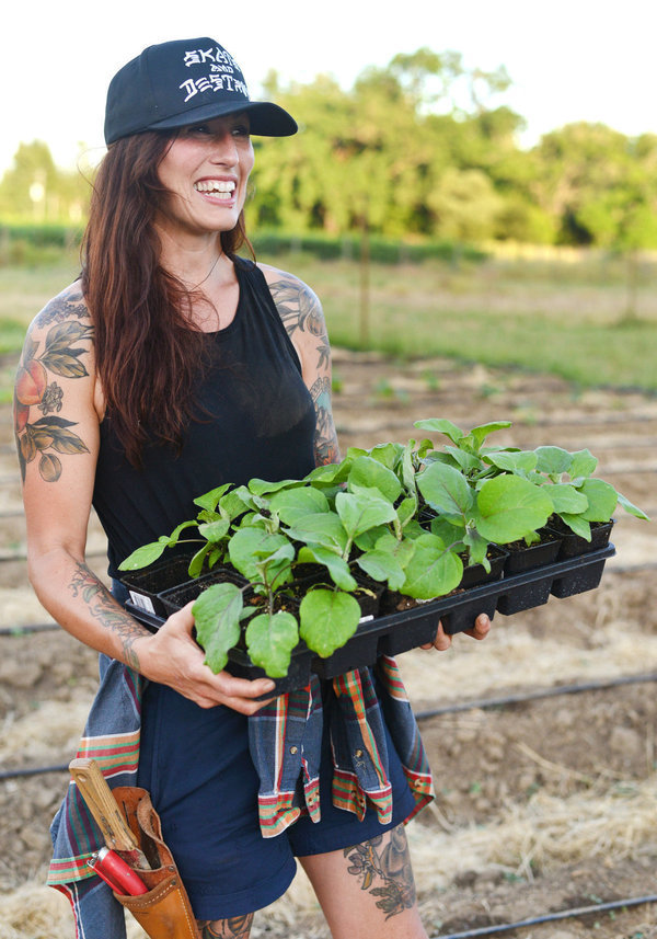 SingleThread Farms in Healdsburg, organic farm
